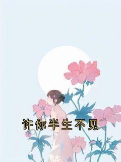 许你半生不见快手热推顾晚沈易安免费阅读-暗夜阅读网