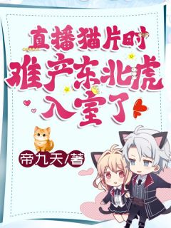 唐晚晚江迟全文最新章节正版小说免费阅读-暗夜阅读网