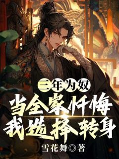 三年为奴：当全家忏悔，我选择转身小说免费阅读 秦安苏柒斐钰斐涣大结局完整版-暗夜阅读网
