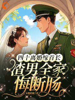 司蓉沈澜完整版四十离婚嫁首长，渣男全家悔断肠全文最新阅读