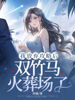 我放弃攻略后，双竹马火葬场了(秦笑笑傅思航)全文章节在线阅读