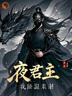 (精品)夜君主小说