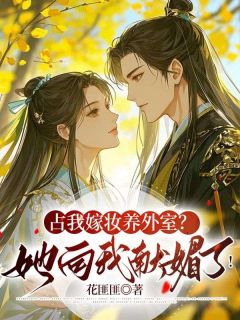 陆知苒萧晏辞全章节阅读-占我嫁妆养外室？她向我献媚了！全文分享阅读-暗夜阅读网