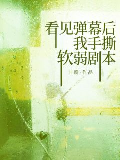 良心推荐看见弹幕后，我手撕软弱剧本小说试读-暗夜阅读网