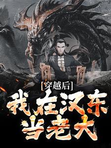 好看的穿越后，我在汉东当老大小说-穿越后，我在汉东当老大最新章节阅读-暗夜阅读网