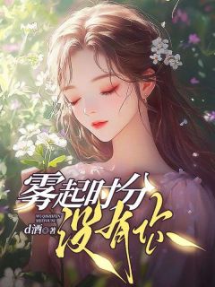 雾起时分没有你(叶妩裴悸)全文章节在线阅读-暗夜阅读网