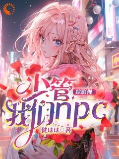 抖音爆款综影视：少管我们npc小说免费阅读
