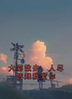 黎念贺迟宴全本小说 大雾散去，人尽皆知我爱你全文免费在线阅读