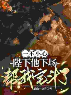 一不小心，陛下他下场帮我宅斗了全本小说（一不小心，陛下他下场帮我宅斗了）全文阅读-暗夜阅读网