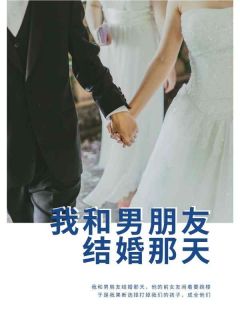 我和男朋友结婚那天江停云林巧大结局在线阅读-暗夜阅读网