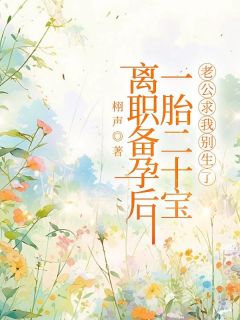 书荒必备离职备孕后一胎二十宝，老公求我别生了全文章节阅读