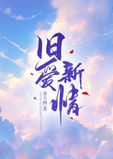 作者金万两写的旧爱新情小说大结局全章节阅读-暗夜阅读网