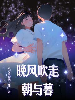 沈晚凝陆时小说章节目录阅读-晚风吹走朝与暮在哪免费看