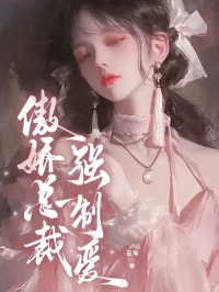 主角是秦兴苏云芝的小说-傲娇总裁强制爱完整章节阅读-暗夜阅读网