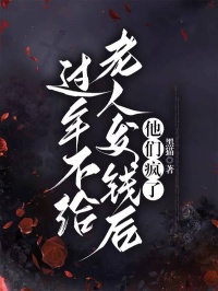黑猫的小说过年不给老人发钱后，他们疯了全文阅读-暗夜阅读网