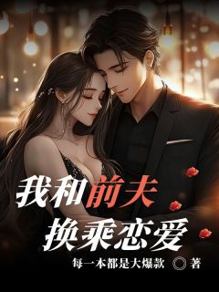 蒋杉岑枫小说我和前夫换乘恋爱免费阅读-暗夜阅读网