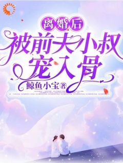离婚后，被前夫小叔宠入骨小说免费阅读 温安柠时锦潇大结局完整版
