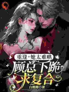 重逢，她太难哄，顾总下跪求复合赵舒晚顾砚琛小说全文-重逢，她太难哄，顾总下跪求复合小说-暗夜阅读网