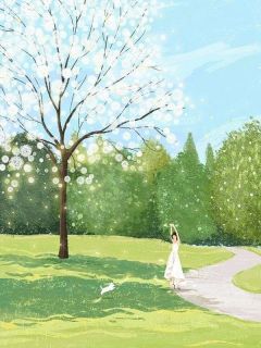 乔婉乔薇全章节阅读-家人为了真千金让我假死，我真死后他们疯了全文分享阅读-暗夜阅读网