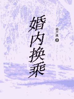 小说推荐婚内换乘完结版全章节阅读