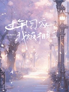 抖音小说过年回家，我被相亲了，主角季思沅傅以深最后结局小说全文免费