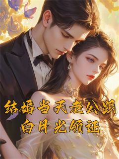 老书虫书荒推荐结婚当天老公跟白月光领证txt小说阅读-暗夜阅读网