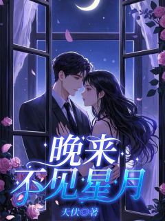 苏晚晚沈星然全章节阅读-晚来不见星月全文分享阅读