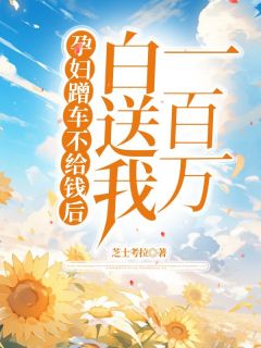 苏梅刘凯孟晚舟孕妇蹭车不给钱后，白送我一百万全文(苏梅刘凯孟晚舟)章节免费阅读