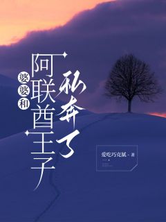 (抖音)婆婆和阿联酋王子私奔了苏蔻王驰明珠小说免费全文阅读-暗夜阅读网