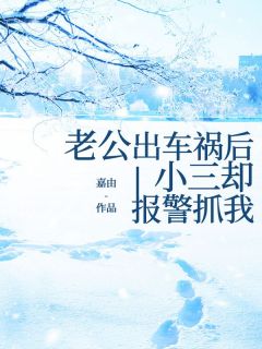 老公出车祸后小三却报警抓我(赵宗伟王倩)小说全章节目录阅读
