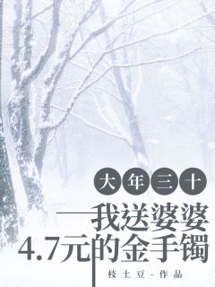 大年三十，我送婆婆4.7元的金手镯沈乔吴瑞豪何晴晴全本小说（大年三十，我送婆婆4.7元的金手镯）全章节小说目录阅读-暗夜阅读网