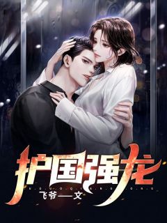 护国强龙小说的书名是什么
