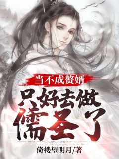 爆款小说当不成赘婿只好去做儒圣了在线阅读-江寒宁月免费阅读-暗夜阅读网