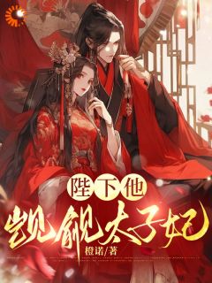 沈清涟萧瑾全章节阅读-陛下他觊觎太子妃全文分享阅读-暗夜阅读网