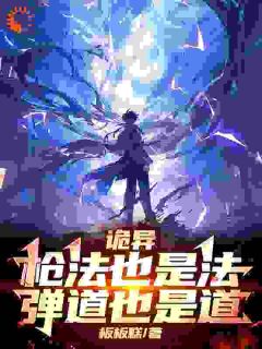 诡异:枪法也是法,弹道也是道(全章节)-姜溟小雨在线阅读-暗夜阅读网