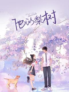 抖音爆款他的梨树宋小小钟羡之无广告阅读-暗夜阅读网