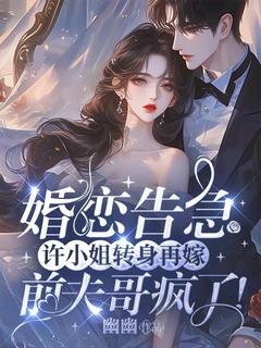 婚恋告急：许小姐转身再嫁，前夫哥疯了！小说-许南夕傅谨辰全篇阅读