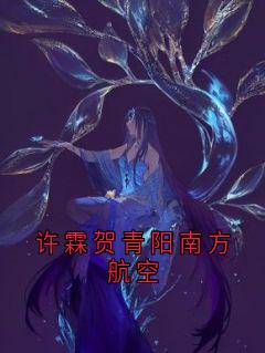 许霖贺青阳小说全文免费阅读许霖贺青阳南方航空全文免费阅读