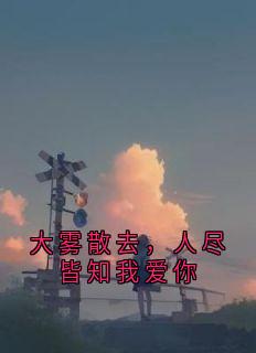抖音完结大雾散去，人尽皆知我爱你黎念贺迟宴(全文在线阅读)-暗夜阅读网
