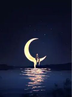 你是我不眠的光(陆行舟简宁)全文章节在线阅读