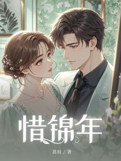 惜锦年免费小说作者荔枝全文阅读