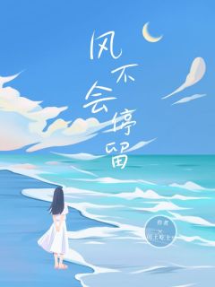 苏婉秦峥小说(风不会停留)_苏婉秦峥小说最新章节