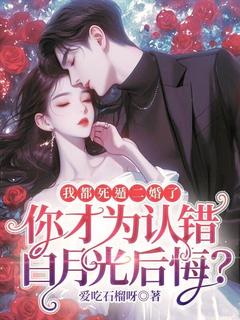 小说推荐我都死遁二婚了，你才为认错白月光后悔？完结版全章节阅读-暗夜阅读网