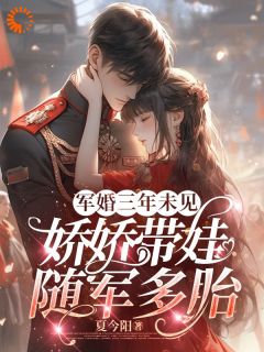正版小说军婚三年未见，娇娇带娃随军多胎沈淮初陆云琛在线免费阅读-暗夜阅读网