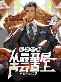 书荒必备逆袭宦海：从最基层青云直上全文章节阅读