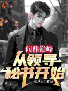 问鼎巅峰：从领导秘书开始小说最新章节-主角叶明远宋甜甜全文免费阅读