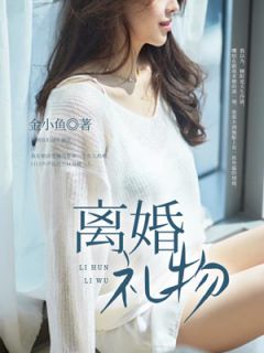 独家离婚礼物全本大结局小说阅读