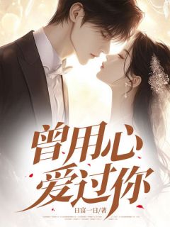 曾用心爱过你小说(完结)-白若张林秦泽无删减阅读