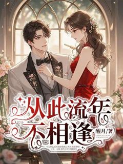 抖音从此流年不相逢txt小说阅读