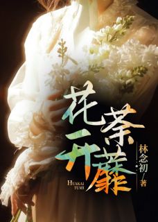 老书虫书荒推荐花开荼蘼txt小说阅读
